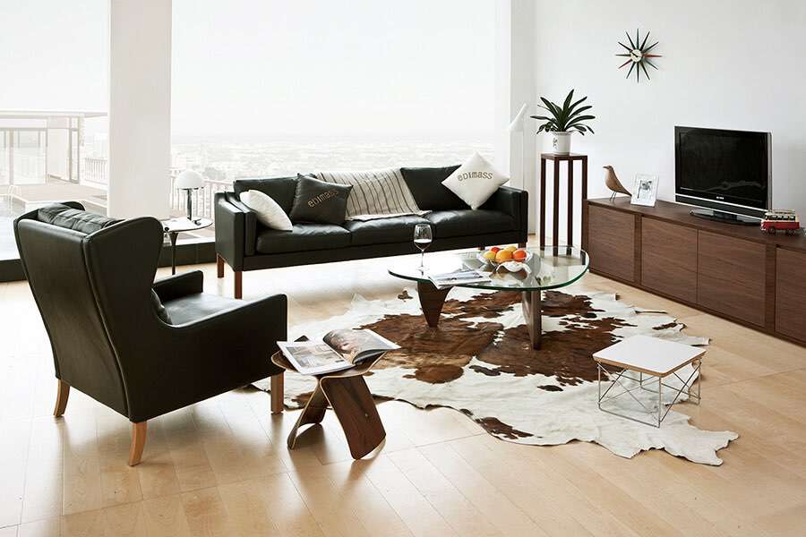 scandinavia furniture