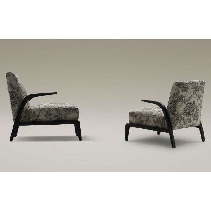 Lounge chair|Arm chair|leisure chair